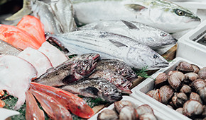 鮮魚・水産品食品卸としての幅広い品揃え