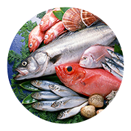 鮮魚・水産品