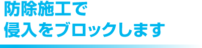 ゴキブリ駆除・防除3