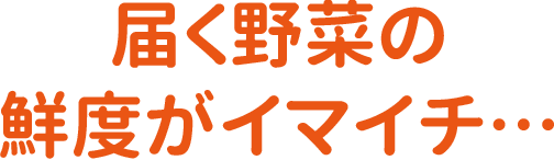 届く野菜の鮮度がイマイチ…