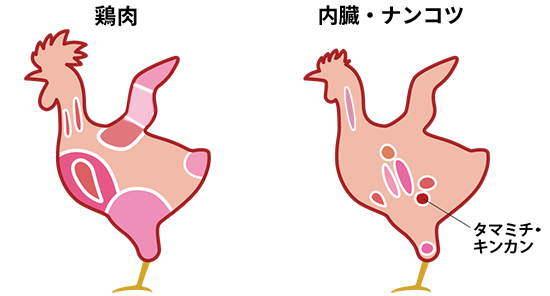鶏肉の部位 タマミチ キンカン 業務用食肉卸 株式会社プレコフーズ